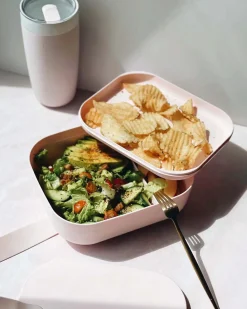 W&P Bento Box Lunch Container - Blush Online