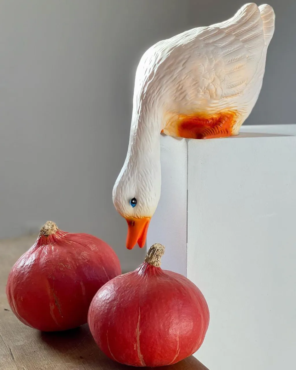 Egmont Duck Looking Down Lamp Best