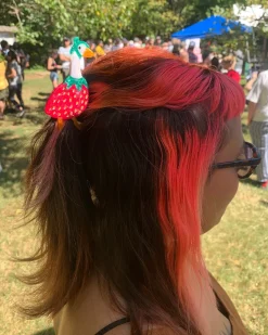 Not Picasso Gooseberry Hair Claw Best