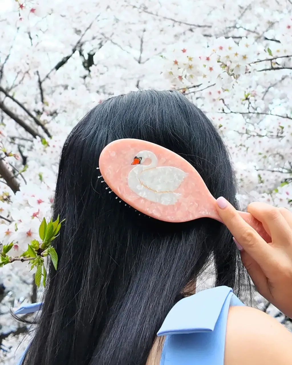 Solar Eclipse Hand-Painted Hair Brush Swan Online