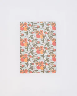 ban.do Hold That Thought Notebook Set - Growing Imperfectly Sale
