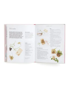 Morgan Doane How to Raise a Plant and Make It Love You Back Clearance