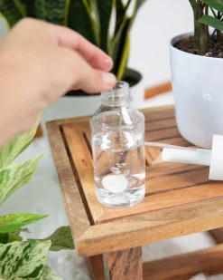 Instant Plant Food - Natural Houseplant Pest Control Tablets Instant Plant Protection