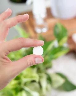 Instant Plant Food - Natural Houseplant Pest Control Tablets Instant Plant Protection
