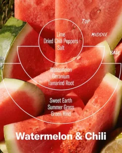 P.F. Candle Large Concentrated Candle - Watermelon & Chili Online