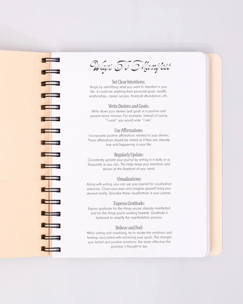 ban.do Manifestation Journal Outlet