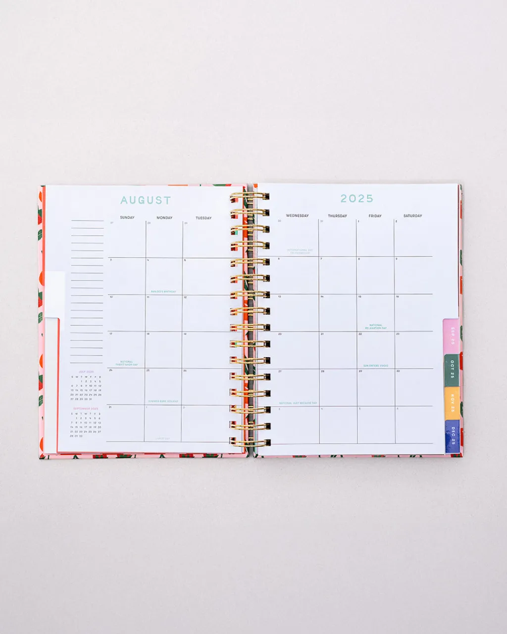 ban.do Medium 17-Month Academic Planner - Connect the Dots
