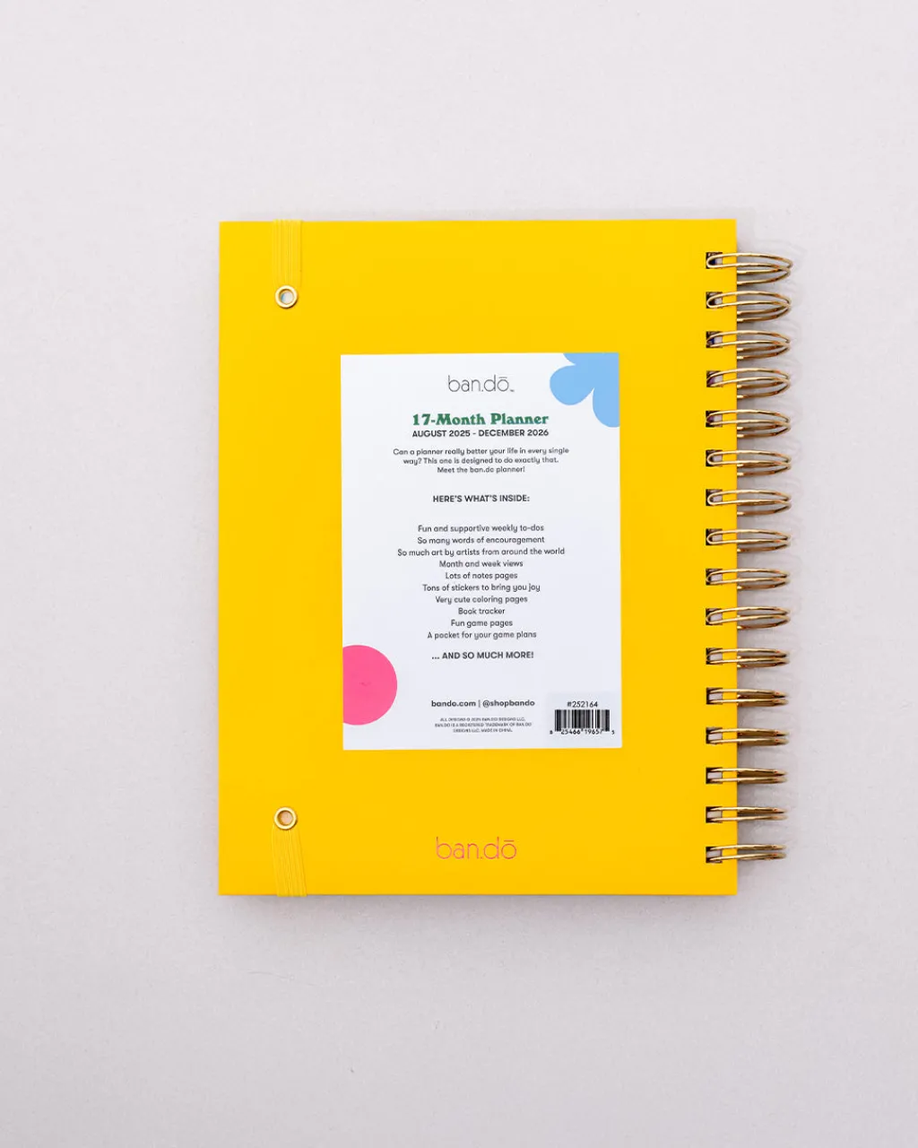 ban.do Medium 17-Month Academic Planner - Connect the Dots