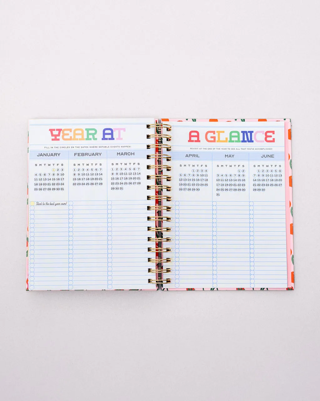 ban.do Medium 17-Month Academic Planner - Connect the Dots