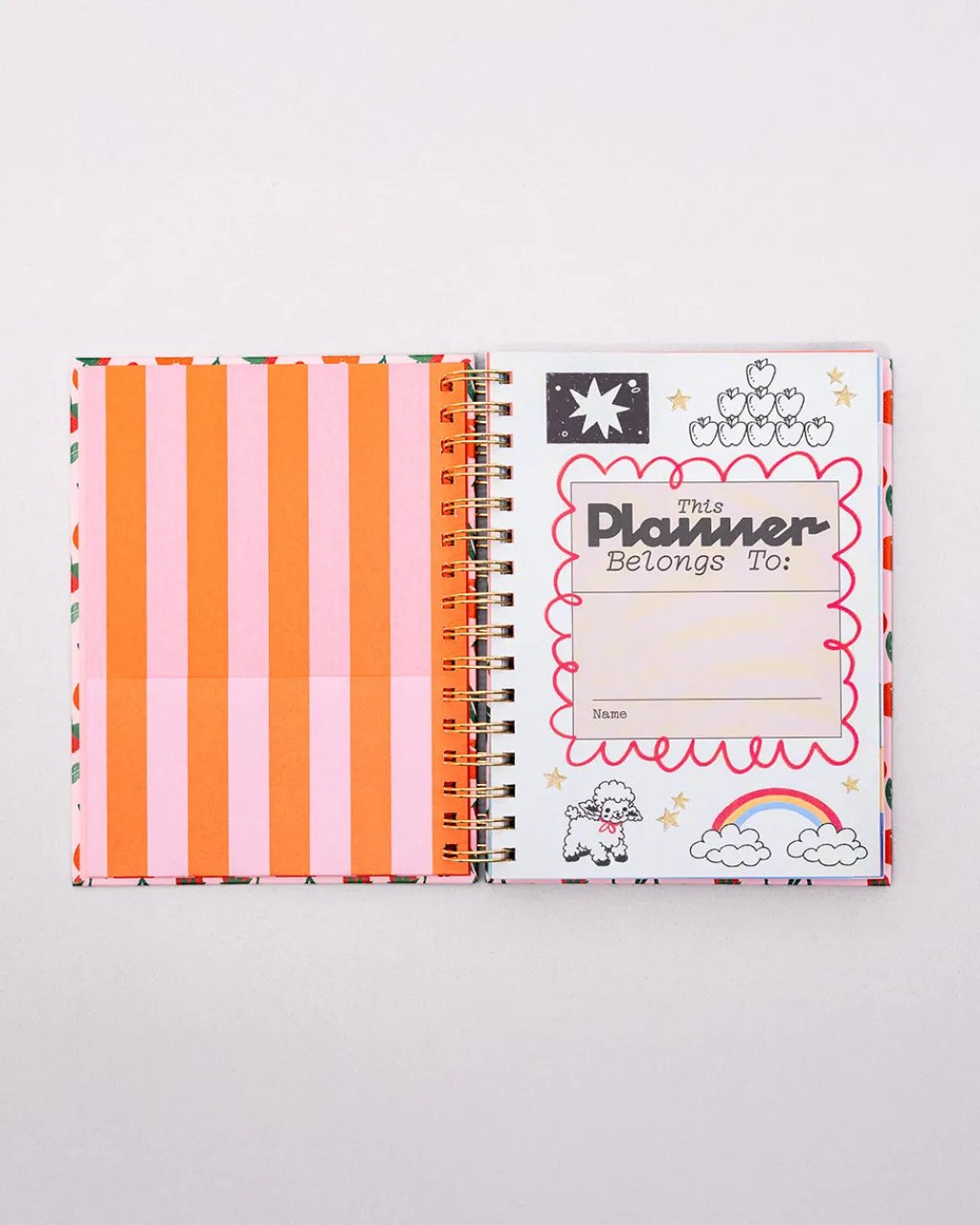 ban.do Medium 17-Month Academic Planner - Mid Century Sale