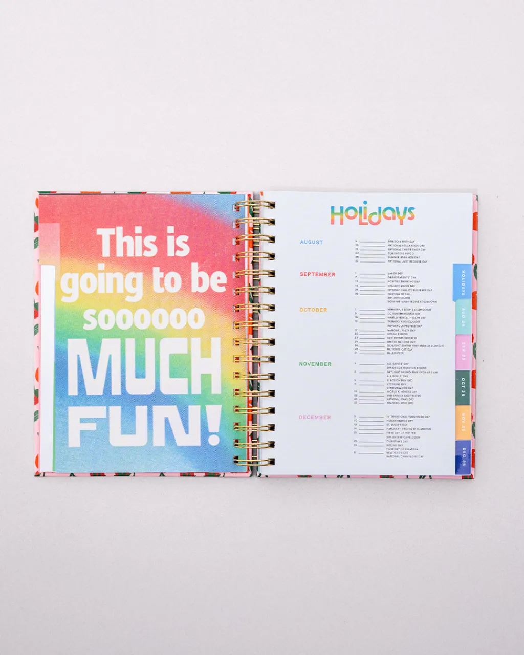 ban.do Medium 17-Month Academic Planner - Mid Century Sale