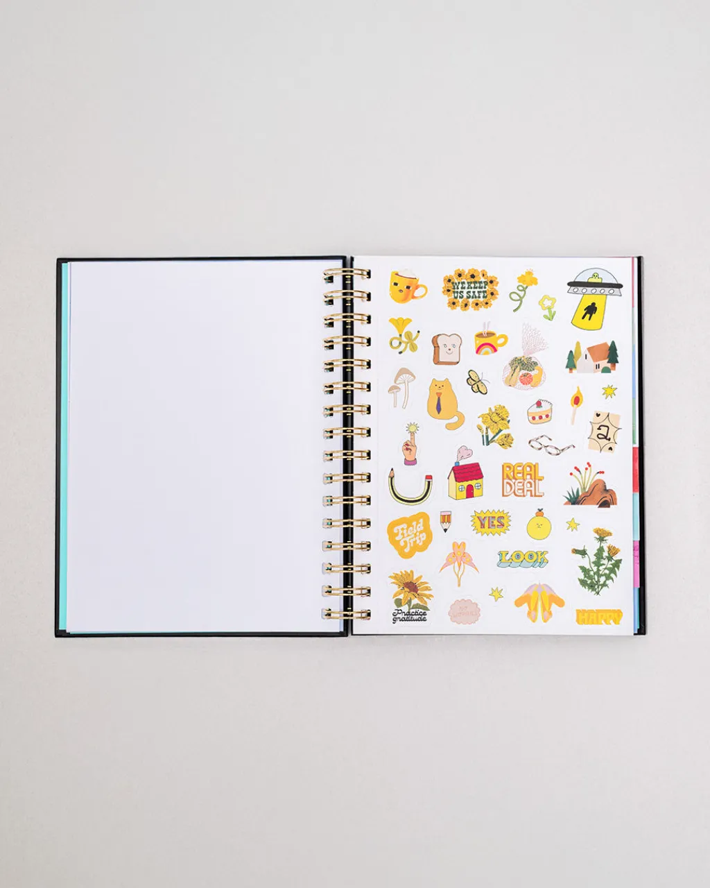 ban.do Medium 12-Month Annual Planner - A Joy to Be Around Outlet