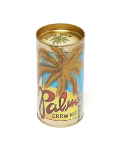 The Jonsteen Company Palm Tree - Seed Grow Kit - royal palm Best