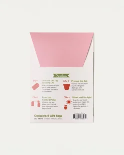 123 Farm Plantable Seed Gift Tags - Strawberries New