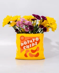 ban.do Potato Chips Ceramic Vase Sale