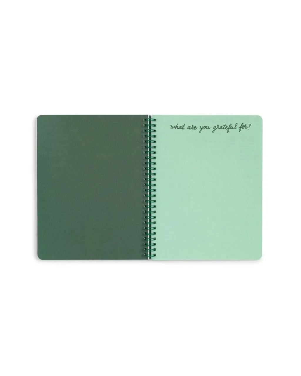 ban.do Rough Draft Mini Notebook - emerald super bloom New