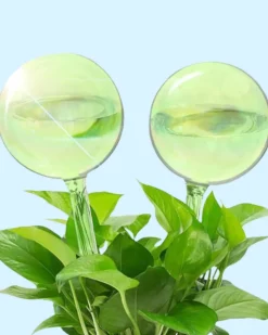 We The Wild Plant Care Self-Watering Plant Globes - Set of 2 Discount