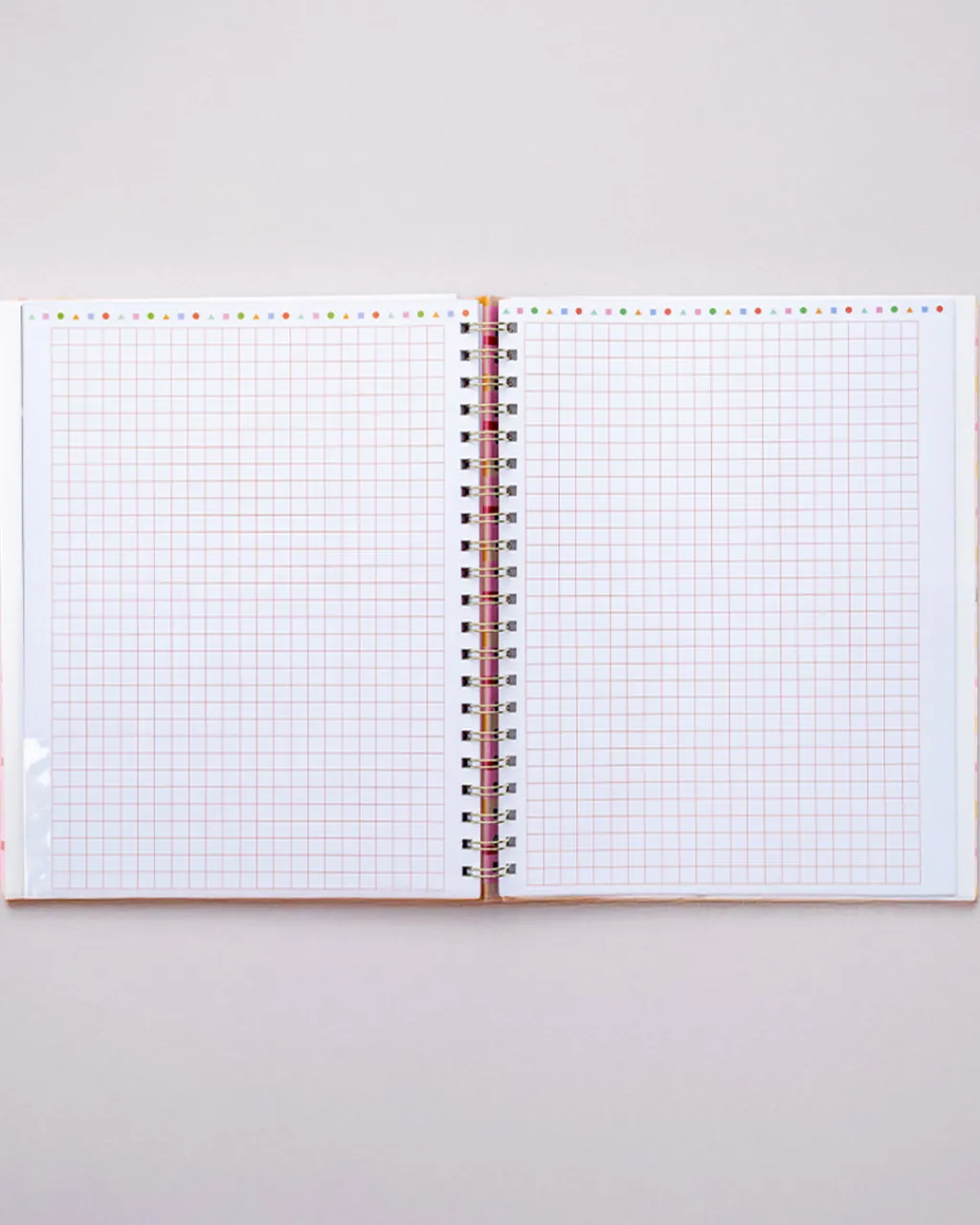 ban.do Semi Concealed Weekly Undated Planner - Ready for Anything Hot