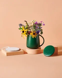 Tease Wellness Smart Heated Mug Kit 2.0 - Deep Mint Best