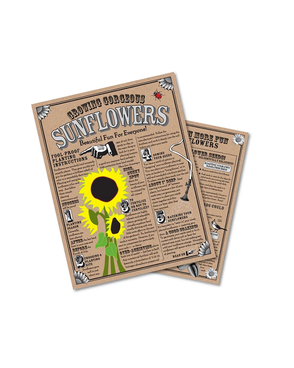 The Jonsteen Company - Seed Grow Kit sunflower Hot