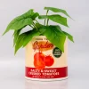 ban.do Tomato Can Ceramic Planter Sale