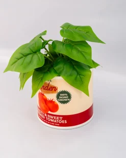 ban.do Tomato Can Ceramic Planter Sale