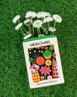 ban.do Wildflower Seeds Vase Best