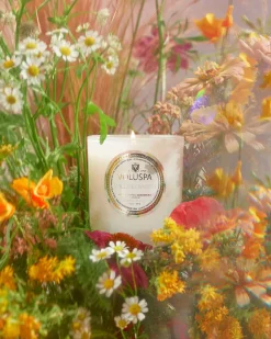 Voluspa Wildflowers Classic Candle Sale